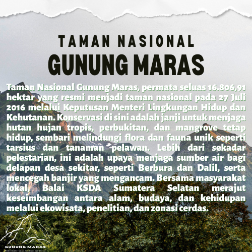 Definisi Konservasi Taman Nasional Gunung Maras