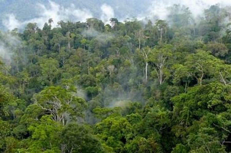 Pemanfaatan Berkelanjutan melalui Ekowisata
