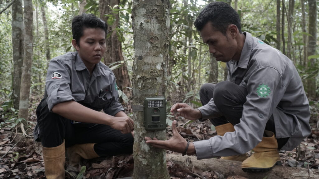 Perlindungan Ekosistem dan Keanekaragaman Hayati