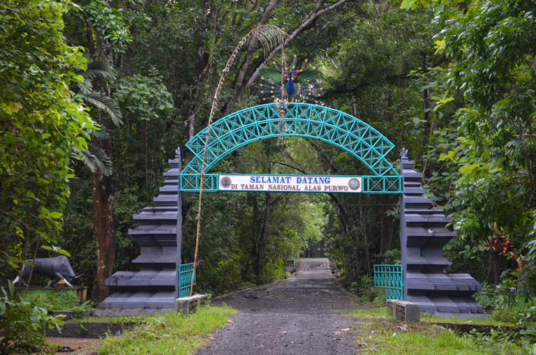 TAMAN NASIONAL ALAS PURWO