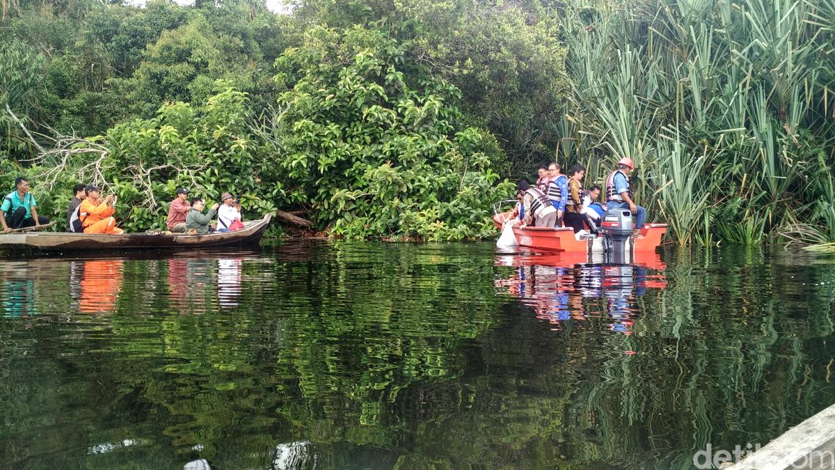 TAMAN NASIONAL ZAMRUD​