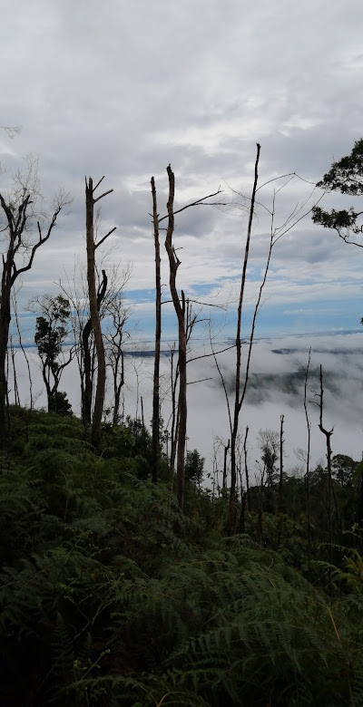 Tentang Taman Nasional Gunung Maras