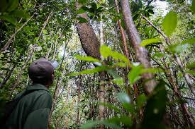 Zona Pemanfaatan Gunung Maras (1.505,22 hektar)